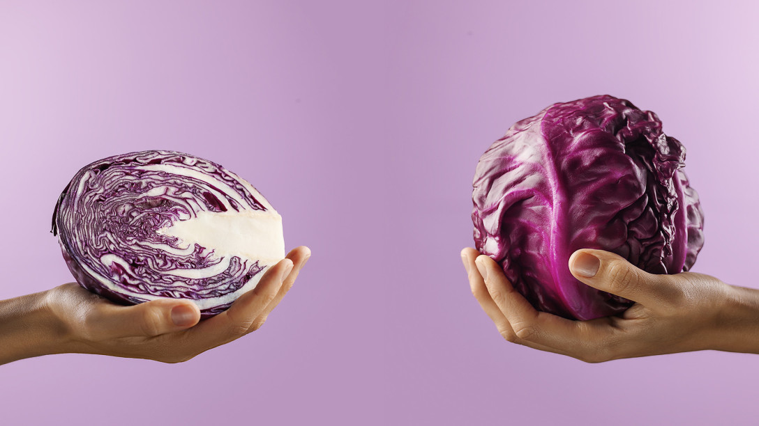 Couve-roxa: o ingrediente cheio de antioxidantes, fibras e vitaminas.